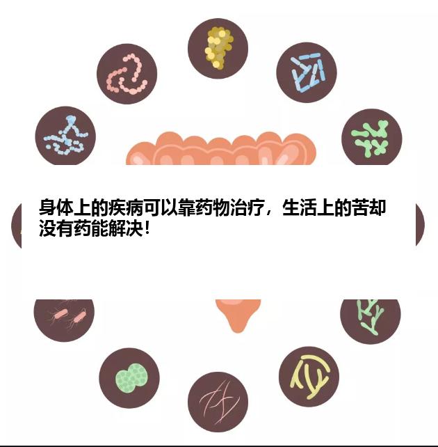 身体上的疾病可以靠药物治疗，生活上的苦却没有药能解决！