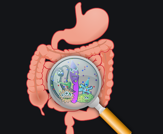 身体上的疾病可以靠药物治疗，生活上的苦却没有药能解决！