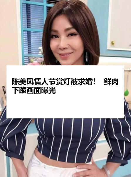 陈美凤情人节赏灯被求婚！  鲜肉下跪画面曝光