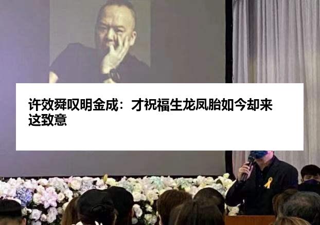 许效舜叹明金成：才祝福生龙凤胎如今却来这致意