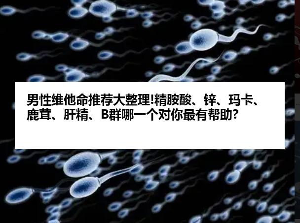男性维他命推荐大整理!精胺酸、锌、玛卡、鹿茸、肝精、B群哪一个对你最有帮助?