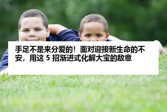 手足不是来分爱的！面对迎接新生命的不安，用这 5 招渐进式化解大宝的敌意