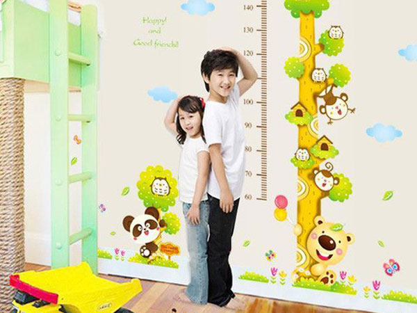 “力量” 营养素的三人组决定了孩子的身高