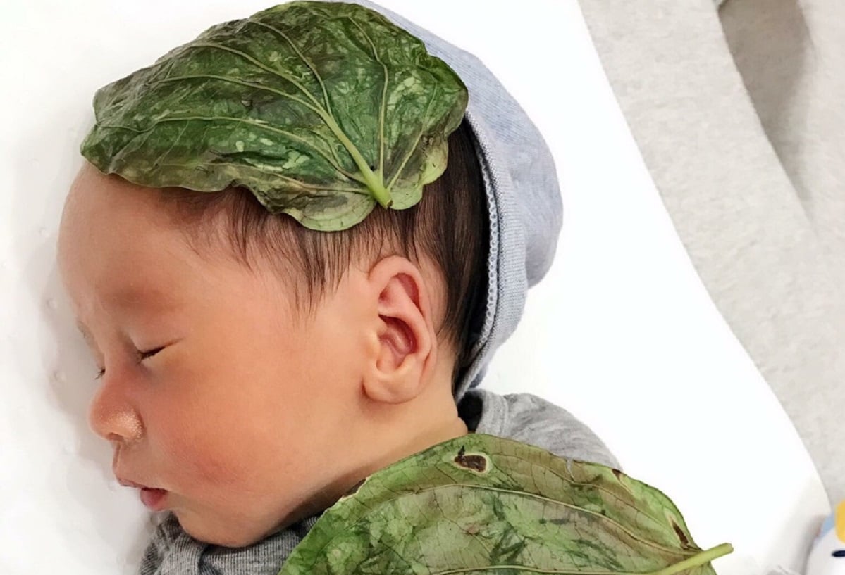 槟榔叶对婴儿的影响?应该给婴儿吃槟榔吗?