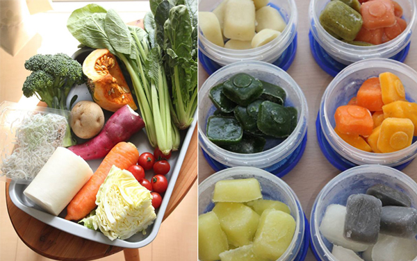 母亲需要知道的科学标准婴儿食品表