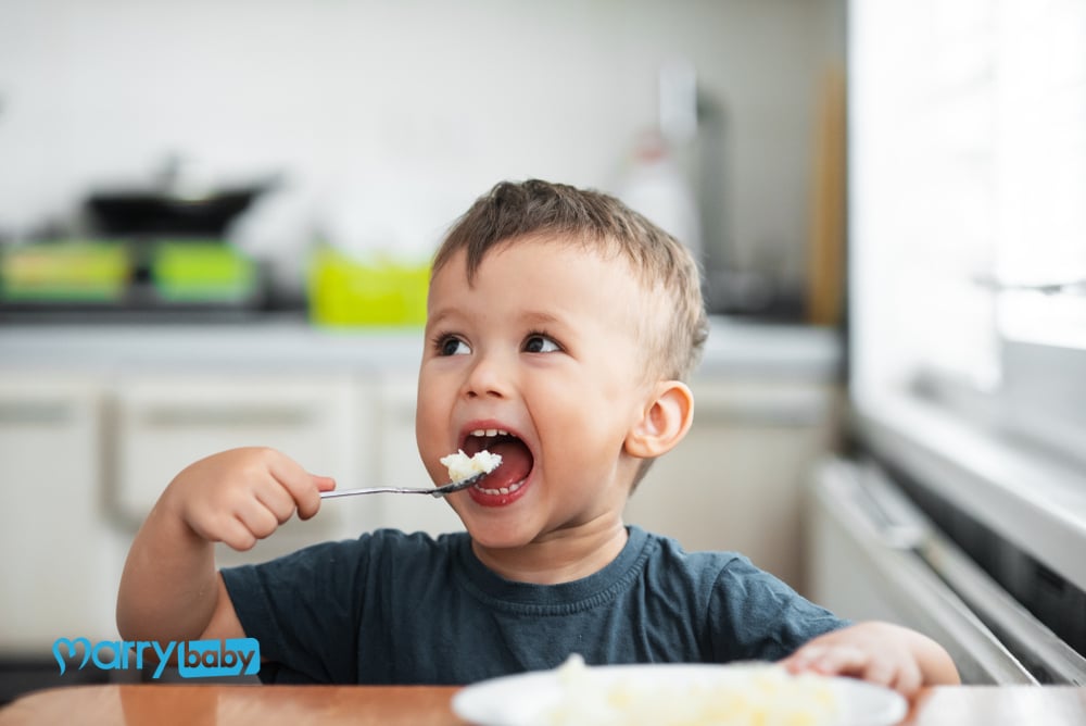 美味的食物让宝宝吃美味的米饭