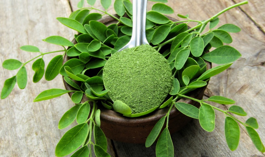 为婴儿烹饪辣木的3种方法既营养又刺激婴儿的食欲