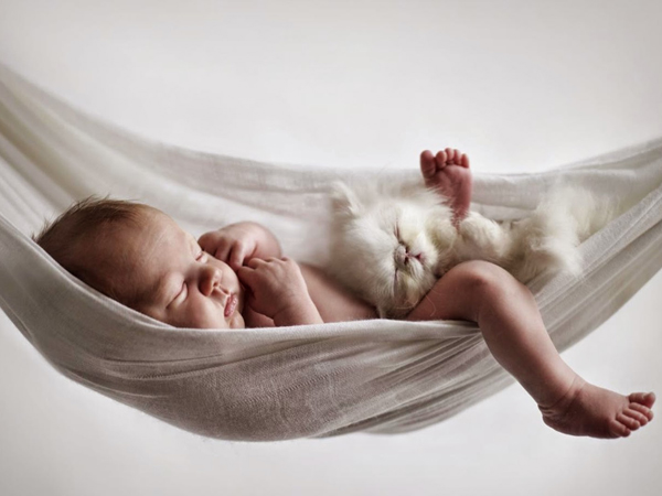 婴儿应该躺在吊床上吗?妈妈的注意事项!