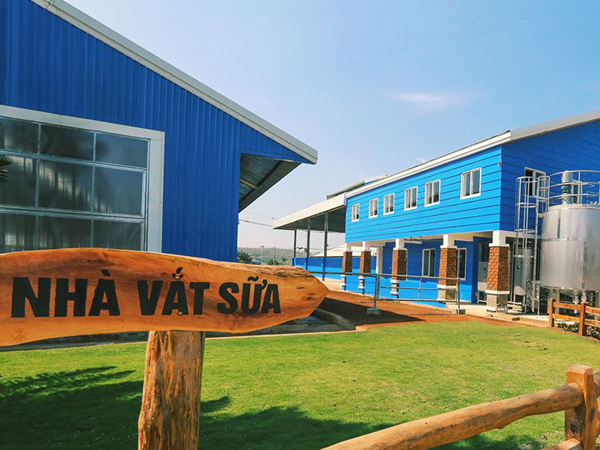 选择牛奶和儿童性早熟的风险