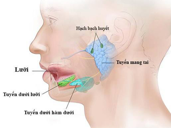 儿童唾液性腺炎: 腮腺炎的症状