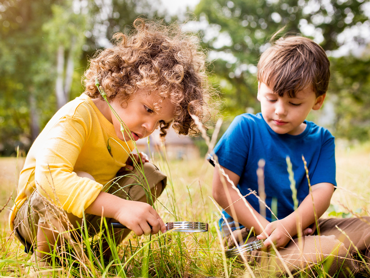 儿童经常吃零食: 应该还是不应该?