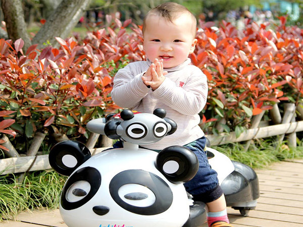 为儿童购买摇摇车: 要记住的4个重要标准