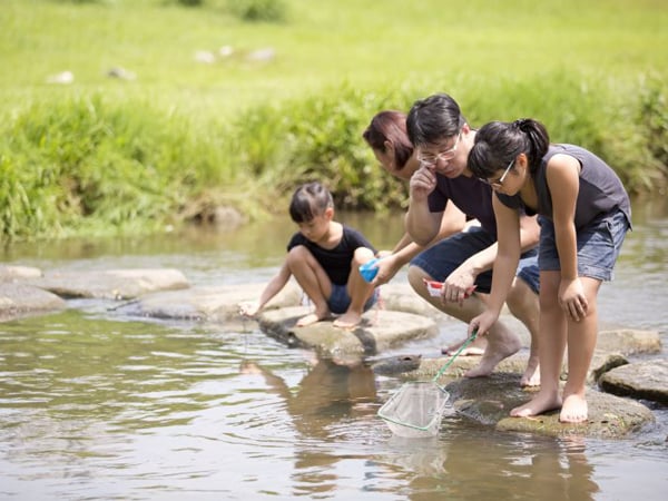 儿童2年级的生活技能需要学习才能完美成长