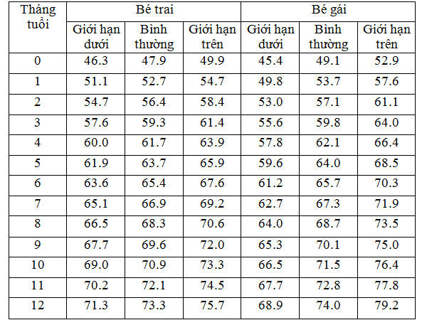 出生前12个月婴儿的标准身高