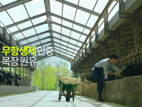 选择牛奶和儿童性早熟的风险