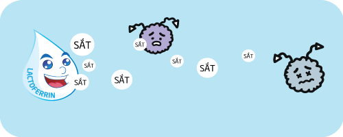 儿童因缺乏乳铁蛋白而经常生病-“母乳抗体”