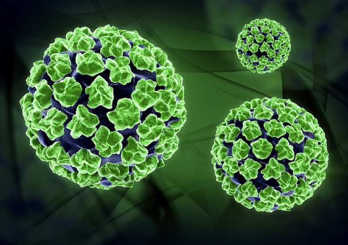 儿童手足口病: 婴儿的体征,治疗和预防
