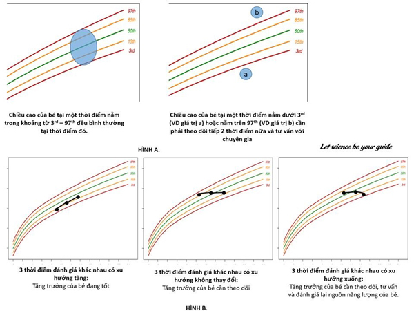 父母矮小时帮助婴儿增加身高的简单方法