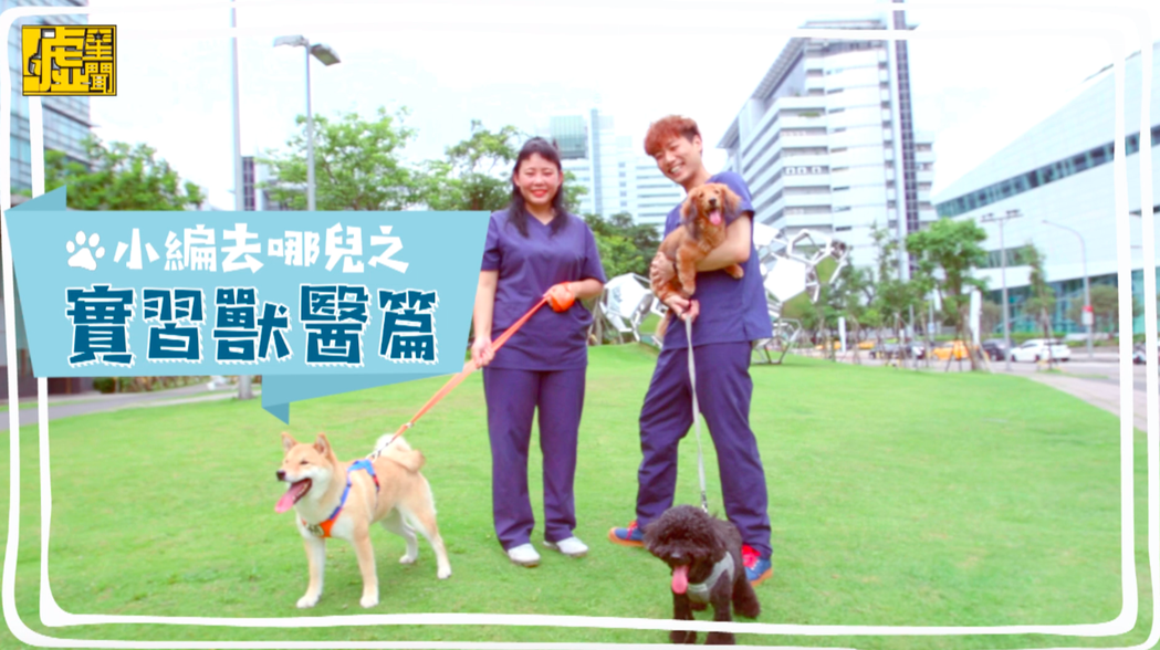 看「小编去哪儿」一日兽医师影音maopo分享＋留言送毛小孩饲料好礼