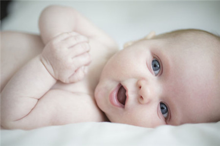 四月出生的狗宝宝小名大全