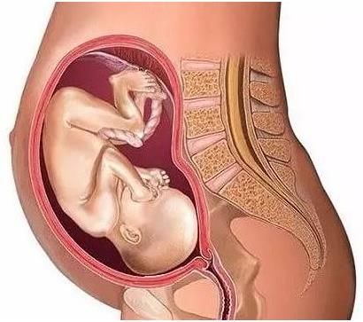 6张图揭示产妇“顺产”全过程，看完好心疼女人！生而为人不容易