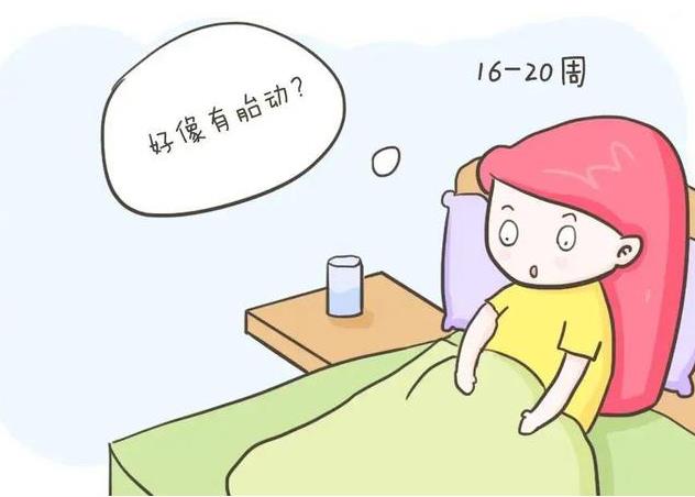 怀孕期间如何统计自己的胎动？