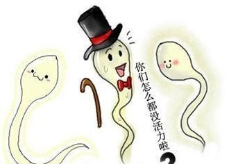 哪些原因会导致精子活力低呢?精子活力低怎么办?