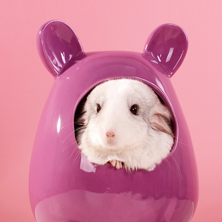 胖纸也木有什么不好嘛～ 关键是要看你萌不萌