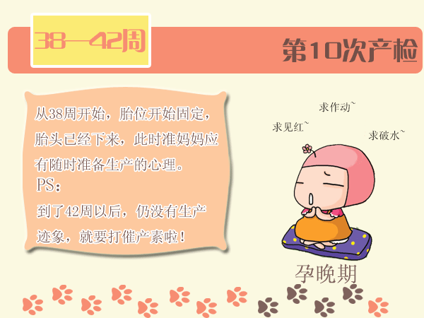 图解孕期检查时间表！孕妈妈们请收好，再也不怕记不住孕检时间啦！