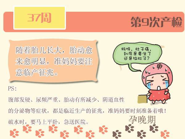 图解孕期检查时间表！孕妈妈们请收好，再也不怕记不住孕检时间啦！