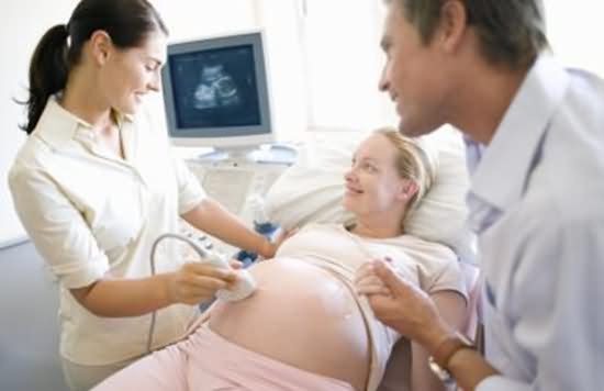 想要生双胞胎 应该补充哪些营养？