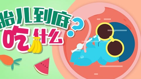 胎儿到底吃什么?
