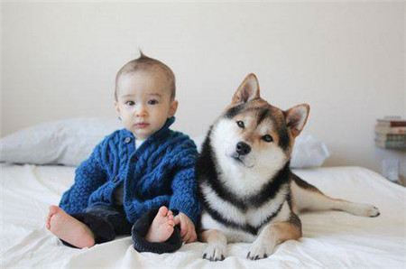 【男孩可爱的小名大全】好听可爱的男孩小名_好听的男孩小名洋气