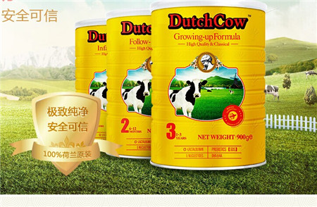 荷兰乳牛奶粉是进口的吗