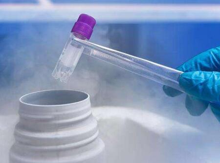 美国试管婴儿的流程图6 美国试管婴儿流程 美国试管婴儿的全过程