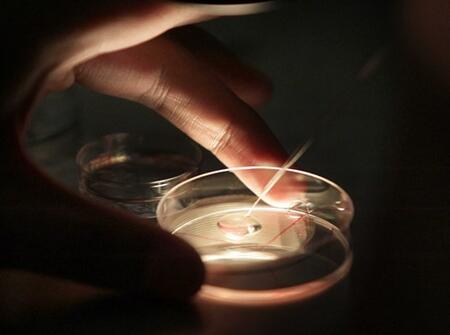 美国试管婴儿可以选择男女吗2 美国试管婴儿可以选择性别吗 美国试管婴儿能选择男女吗