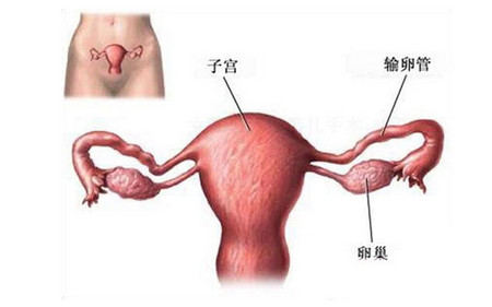 【结扎】结扎是什么意思_结扎对女性的影响