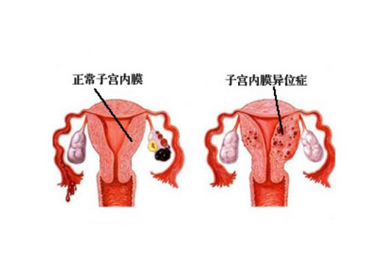 静医生说备孕：备孕一年多了，还没怀上怎么办？