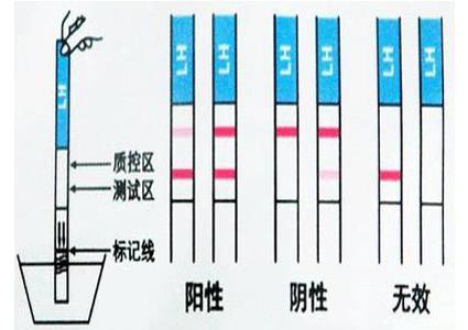 原来怀孕10天就有这么明显的10个征兆！