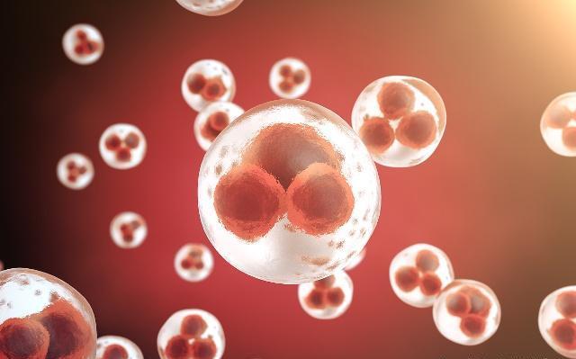 受精卵着床有感觉吗？排卵后7天左右，希望你有以下这3种感觉！