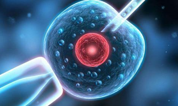 人工受精的过程5 【人工受精的过程】人工授精流程步骤_人工授精过程全解析