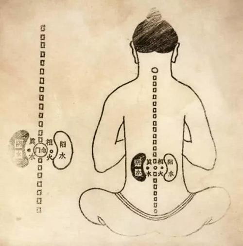 肾阴虚和肾阳虚的区别，三招轻松分辨！