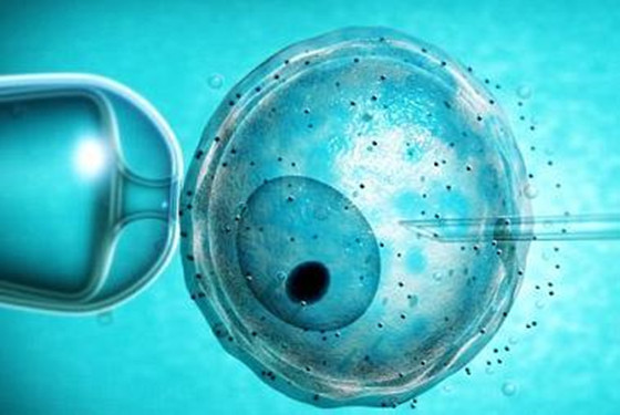 过来人自述人工受孕详细过程 从来就没这么尴尬过