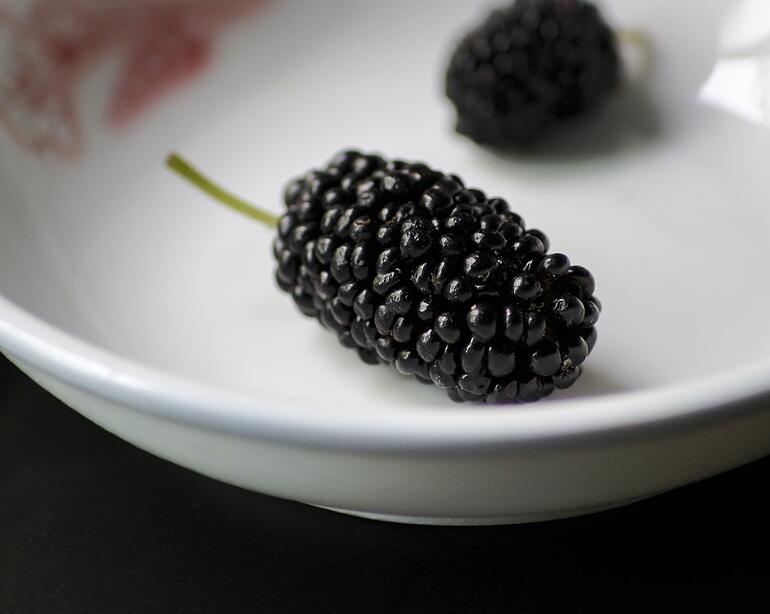 桑葚是热性还是凉性的