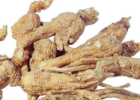 当归的功效与作用【图】