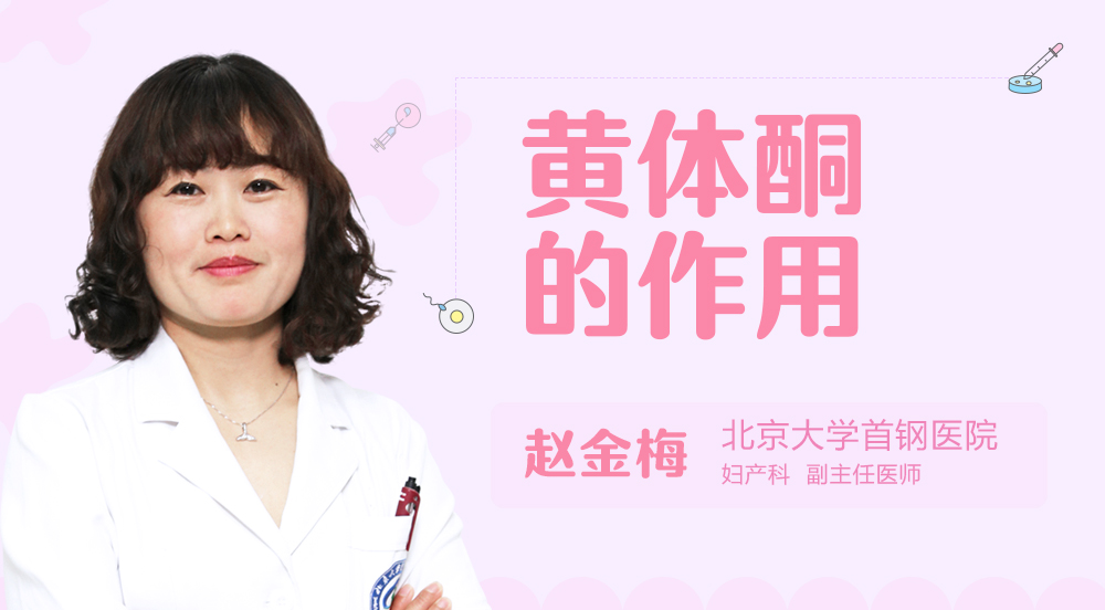 黄体酮的作用