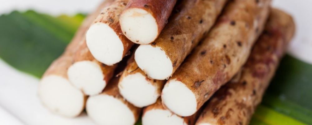 三伏天吃什么好 伏天饮食5宝