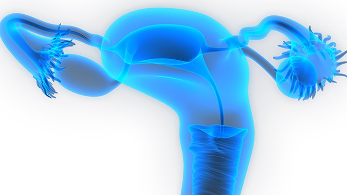 卵巢癌化疗次数是多少