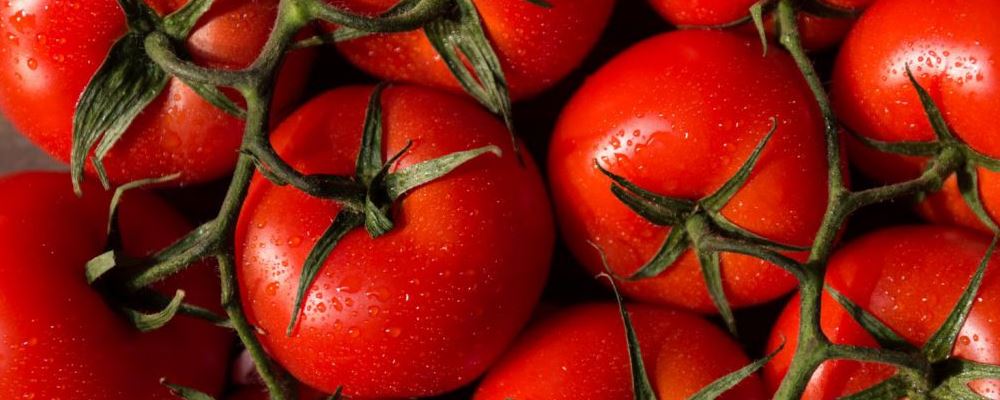 晚餐西红柿减肥法 让减肥健康又有效