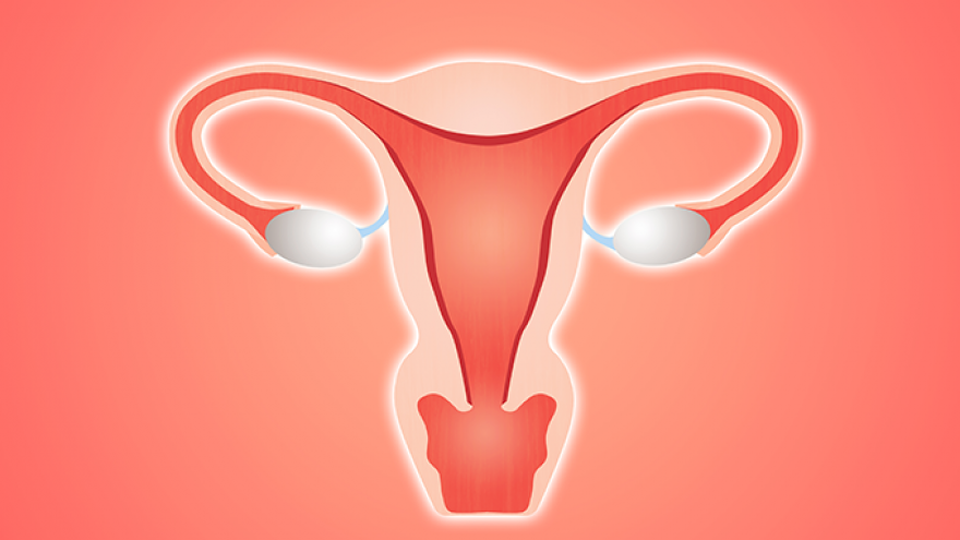 流产后怎么恢复子宫